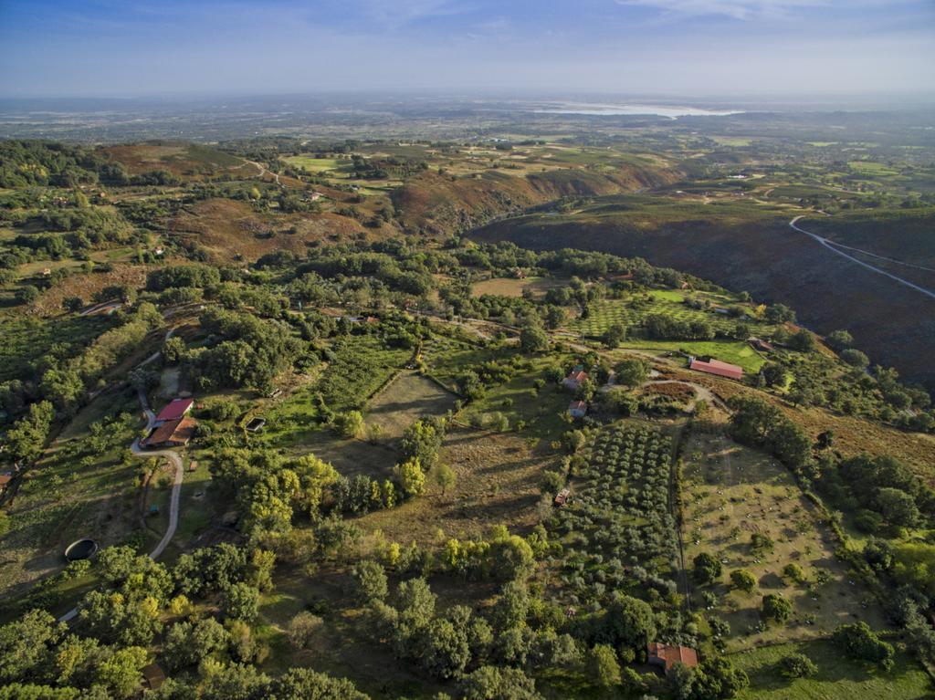 El Vergel de Chilla son 3 alojamientos Abejas 1 Abejas 2 y Libélula Candeleda Esterno foto