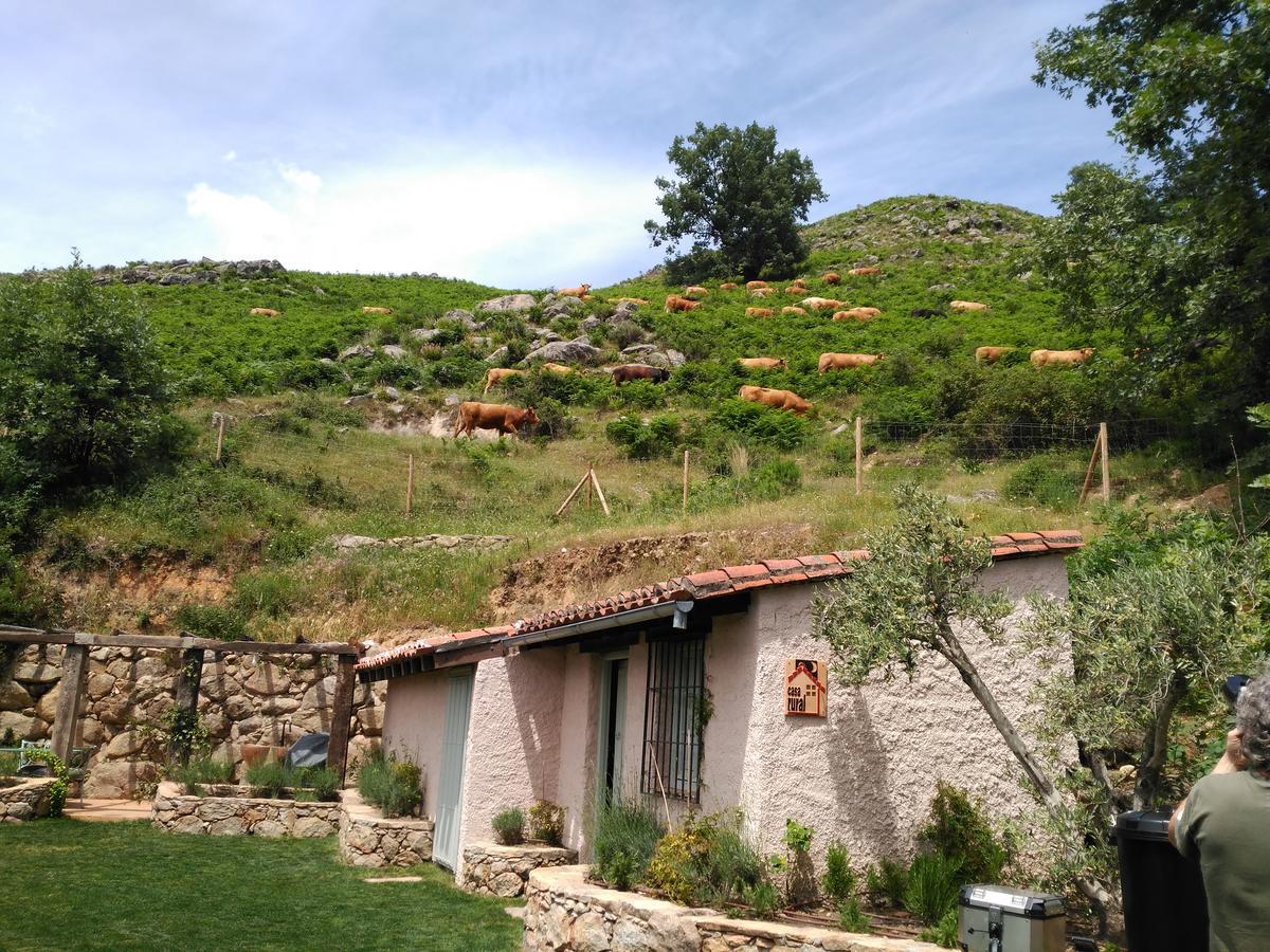 El Vergel de Chilla son 3 alojamientos Abejas 1 Abejas 2 y Libélula Candeleda Esterno foto
